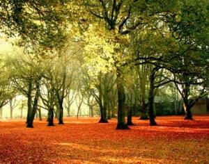 Границы заповедников останутся неприкосновенными