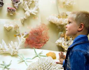 Московские музеи во время зимних каникул будут работать бесплатно