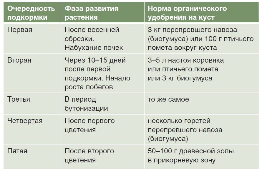 Какие удобрения нужно вносить при посадке. Таблица внесения удобрений для роз. Схема подкормки роз весной. Схема внесения удобрений для роз. Таблица подкормки и обработки роз.