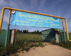 Коллекцию Николая Вавилова не тронут