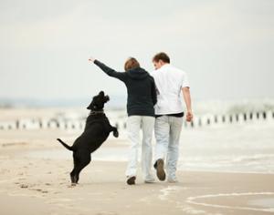 В Лос-Анджелесе собакам запретили лаять дольше 10 минут