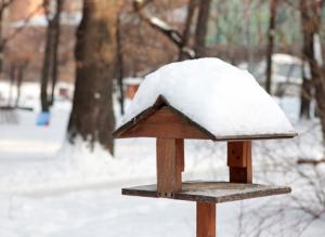 Кормушки для птиц