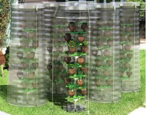 Дерево из вторсырья - эффективный способ городского растениеводства 