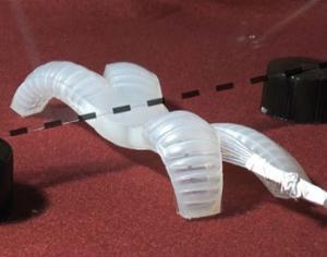 Резиновый робот из Гарварда ходит по войлоку и желатину