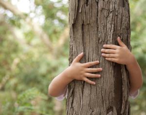 В России появится Национальная лесная политика