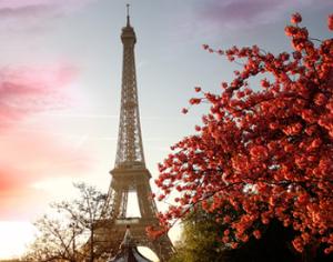 Эйфелева башня станет зеленой и экологичной