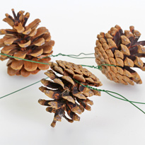 Новогодняя цветочная композиция