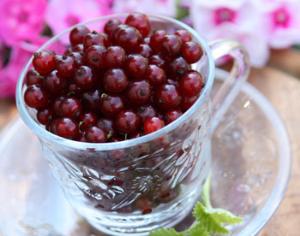 В Калининградской области создадут Музей смородины