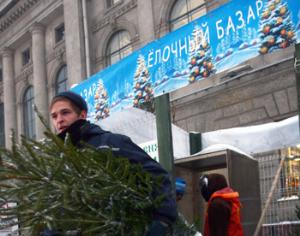 Елочные базары в столице заработают 20 декабря