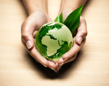 WWF: экологические итоги 2011 года 