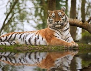 Начинается конкурс малых грантов для заповедников и национальных парков