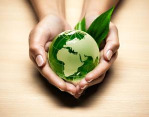 WWF: экологические итоги 2011 года