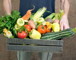 Онищенко будет действовать по-прежнему и после вступления России в ВТО