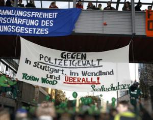 Из-за вымирающего насекомого остановлено строительство вокзала