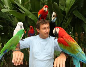 Онищенко не советует контактировать с птичьим пометом