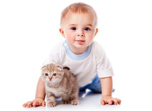 Кошки, собаки и дети: готовим питомца к появлению ребенка
