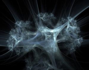 Новое одноклеточное не может стать ни животным, ни растением