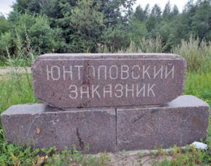 Петербургская трасса уничтожит растение из Красной книги