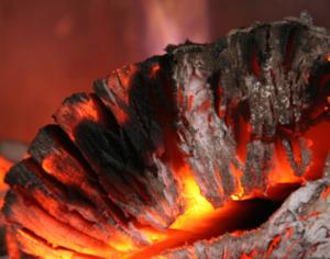 Во Флориде сгорело древнейшее дерево