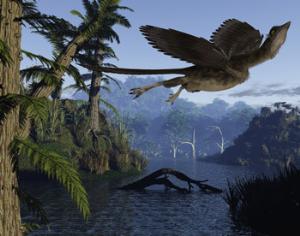 Археоптерикс был черного цвета