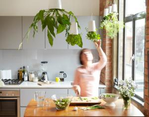 Новозеландский дизайнер предлагает подвешивать растения вверх тормашками