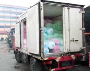 Чилиец украл для ресторана пять тонн заповедного льда