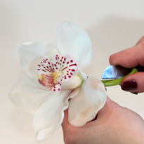 Цветочная композиция к 8 марта. Шаг 5