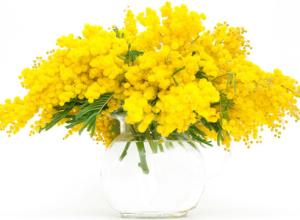 Подарки к 8 марта - своими руками