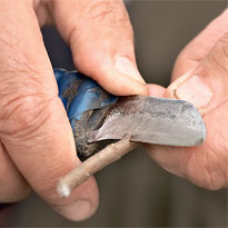 Как привить сортовую сирень. Шаг 4