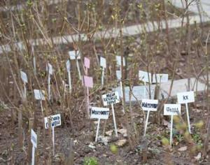 Закон о семенах можно обсудить в интернете