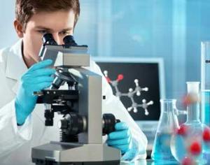 Ученые выяснили, почему растения ночью засыпают