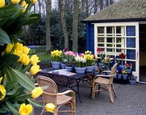 В Голландии открывается парк Кёкенхоф