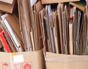 Николай Валуев соберет макулатуру в Госдуме