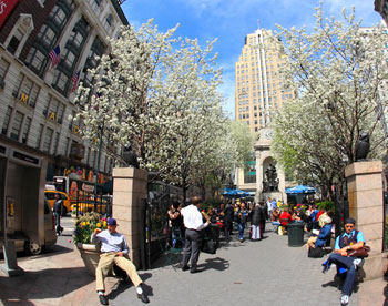 В Нью-Йорке деревья впервые зацвели в марте 