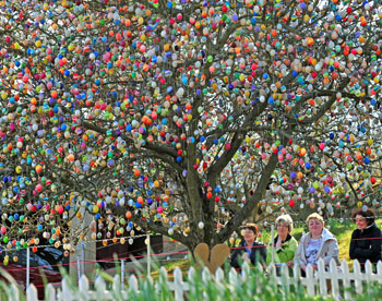 В Германии появилось пасхальное дерево с девятью тысячами яиц 
