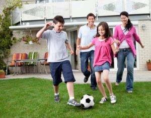 Президент разрешил дачникам собирать фрукты и ягоды с соседских участков