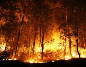 Житель Бурятии выплатит 580 миллионов рублей за непогашенный окурок