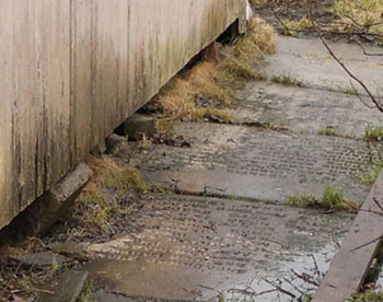 В Ленинградской области обнаружен садовый участок с дорожками, выложенными мемориальными плитами 