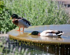 В ближайшие дни будет лето, а на праздники снова похолодает