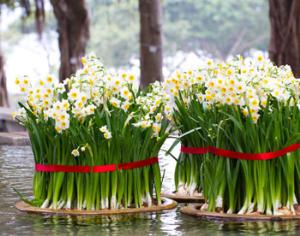 Городок под Волгоградом утонул в цветах