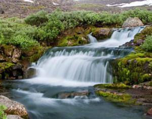 Будущий национальный парк Хибины получает шанс на спасение