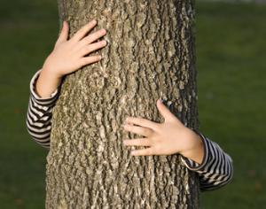 Активисты будут митинговать в защиту старинного Баболовского парка