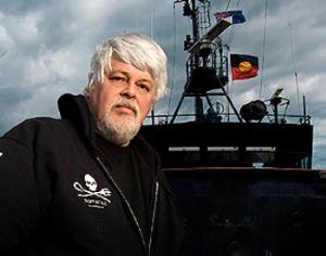 Эколога, остановившего морской разбой, обвиняют в покушении на убийство