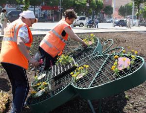Цветы поднимут на крыльях бабочек