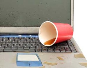 В Сочи случилось землетрясение