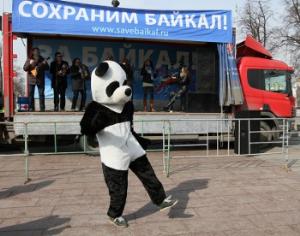 Госдума объявила панду вне закона