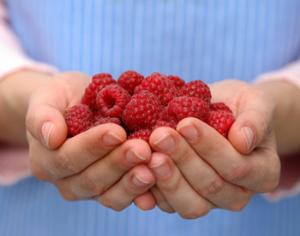 Праздник малины состоится под Рязанью