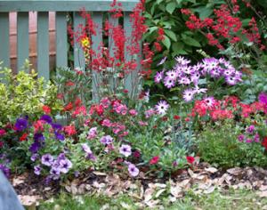 В Парке Горького — фестиваль садов и цветов