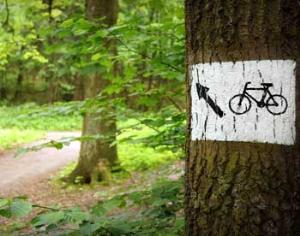 Территории вокруг Москвы оборудуют велодорожками