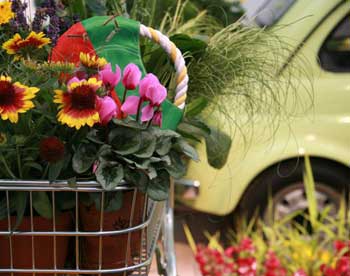 В Москве открылся цветочный фестиваль, посвященный культуре хиппи 